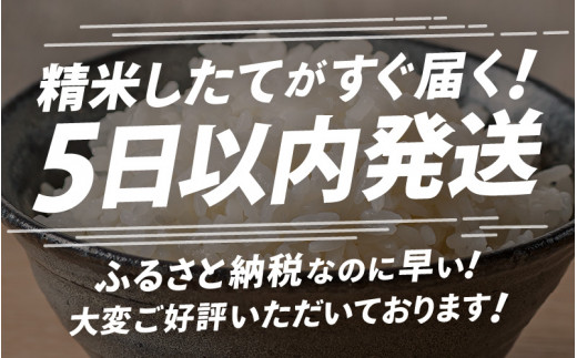 在庫残りわずか！】【令和5年産】さんさん池見二代目が笑顔で育てた