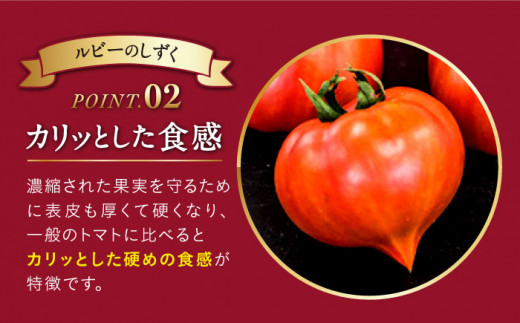 大島 トマト 特選「 ルビーのしずく 」約1.2kg