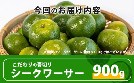 《2024年6月下旬～発送》【先行予約】こだわりの青切りシークワーサー 900g 約20〜30個 【 産地直送 沖縄 石垣島 石垣 八重山  シークワーサー 柑橘 フルーツ くだもの 果物 】TF-7