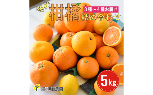特選 旬の柑橘詰め合わせ 5kg(A882-1)