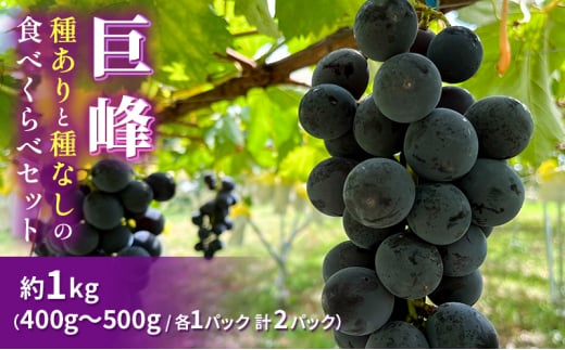 【早期受付】巨峰（種ありと種なし）の食べくらべセット 約1kg 2024年（R6年）9月中旬～10月下旬頃出荷予定【安心安全 こだわりの栽培方法 種あり巨峰と種なし巨峰 除草剤不使用 栽培期間中 ネオニコチノイド系農薬不使用 栽培期間中 化学合成肥料不使用 】 1189309 - 長野県山ノ内町