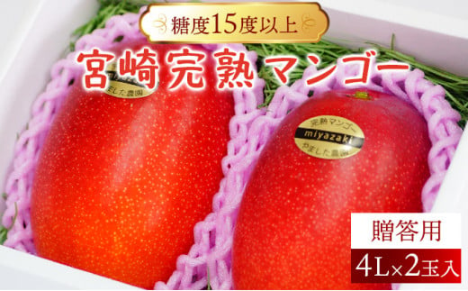 【やました農園】糖度15度以上の高評価の宮崎完熟マンゴー(4L×2玉入・贈答用) AE-CD2 250768 - 宮崎県串間市