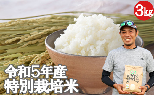 令和5年産】たごもり農園 特別栽培米 夢つくし 3ｋｇ - 福岡県小郡市
