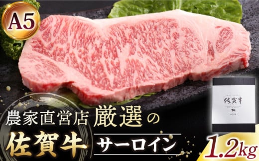 佐賀牛 サーロイン ステーキ 1.2kg (300g×4枚)