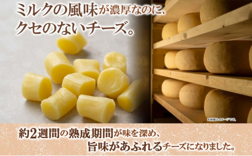 北海道 熟モッツァレラ ころ 250g×2袋 チーズ ひとくちサイズ 小分け モッツァレラ 生乳 ミルク 熟成 とろける 十勝チーズ おつまみ  あしょろチーズ工房 送料無料