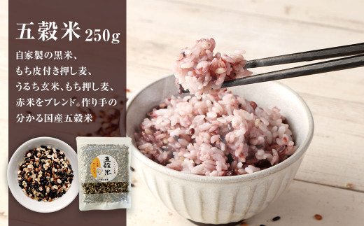 【 熊本県相良村産 】 ヘルシー五穀米 と もち丸麦 セット