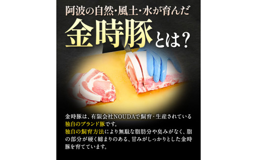 徳島県上板町のふるさと納税 豚肉 阿波 金時豚 ミンチ 1.2kg アグリガーデン 《30日以内に出荷予定(土日祝除く)》豚肉 ブランド豚 肉 小分けパック 送料無料 徳島県 上板町