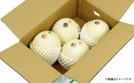 【先行予約】熊本県産 ホームランメロン 4-12玉 約8kg【2024年5月上旬より発送開始】
