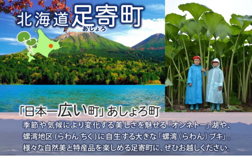 北海道 熟モッツァレラ ころ 250g×2袋 チーズ ひとくちサイズ 小分け