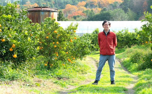 広島県の離島、大崎上島の『中原観光農園』。海のそばにある広々とした農園で、10種類以上の柑橘の樹がのびのびと枝を伸ばしています。