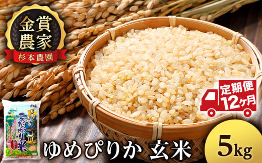 【新米発送・定期便 12カ月】ゆめぴりか 玄米 5kg 《杉本農園》 577260 - 北海道知内町