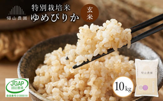 玄米 ゆめぴりか 10kg　特別栽培米産地直送《帰山農園》 1048973 - 北海道知内町