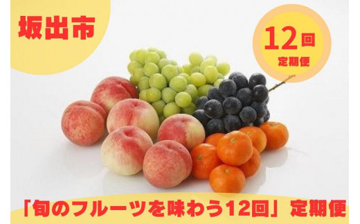 坂出市「旬のフルーツを味わう12回」定期便 1074091 - 香川県坂出市
