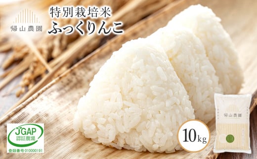 ふっくりんこ 10kg　特別栽培米産地直送《帰山農園》 287817 - 北海道知内町