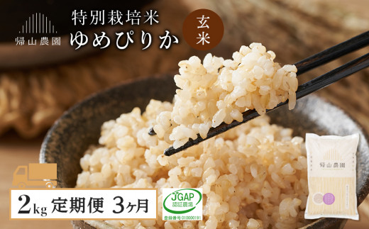 【定期便 3ヶ月】特別栽培米産地直送 玄米 ゆめぴりか 2kg×3回 《帰山農園》 1049170 - 北海道知内町