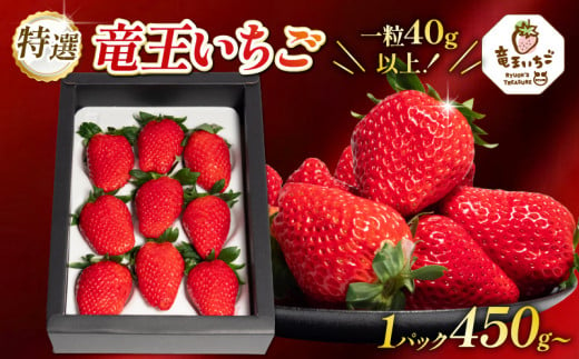 特撰 竜王 いちご 450g 以上 1箱 章姫 紅ほっぺ よつぼし かおり野 みおしずく はるひ すず あまえくぼ おいCベリー 1パック 大粒 苺 旬 産地 直送 フレッシュ イチゴ フルーツ 果物 国産 ベリー 贈答用 プレゼント 2025年1月より順次発送予定 滋賀県 竜王町 人気苺 ふるさと納税苺 ふるさと苺 furusato苺 おすすめ苺 送料無料 1175176 - 滋賀県竜王町