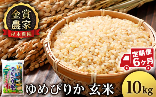 【新米発送・定期便 6カ月】ゆめぴりか 玄米 10kg 《杉本農園》 430901 - 北海道知内町