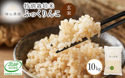 玄米 ふっくりんこ 10kg　特別栽培米産地直送《帰山農園》 1048899 - 北海道知内町