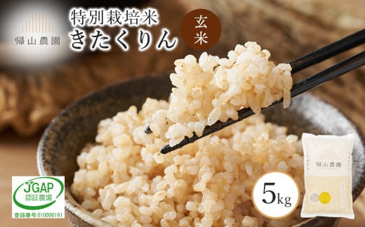 玄米 きたくりん 5kg　特別栽培米産地直送《帰山農園》 1048974 - 北海道知内町