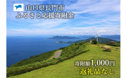 返礼品なし 山口県長門市ふるさと応援寄付金 1,000円分