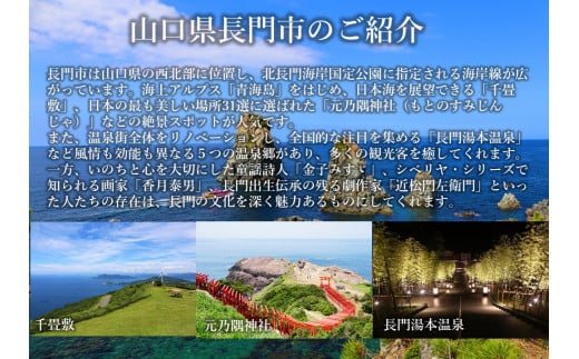 返礼品なし 山口県長門市ふるさと応援寄付金 1,000円分 - 山口県長門市｜ふるさとチョイス - ふるさと納税サイト