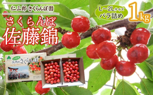 【令和6年産先行予約】 さくらんぼ 佐藤錦 L～2Lサイズ 混合バラ詰め 1kg 山形県鶴岡産　仁三郎さくらんぼ園 667256 - 山形県鶴岡市