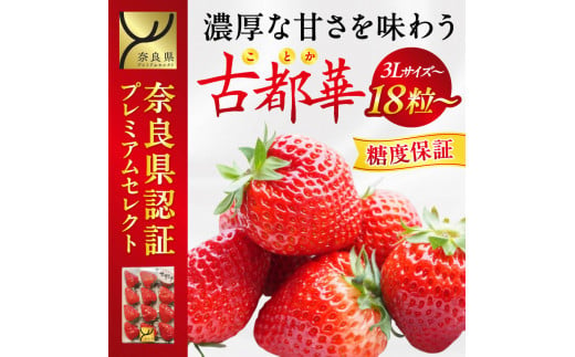 【数量限定100個】いちご プレミアムセレクト古都華(奈良県認証)限定100セット（2024年1月以降発送）3Ｌ以上・18玉以上(9玉1パック)  古都華 奈良ブランド苺 苺 いちご イチゴ 苺 果物 フルーツ 奈良 なら