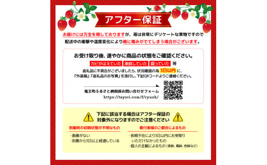 訳あり いちご 1500g ( 750g × 2パック ) ジャム用 300g潰れ保証 いちごジャム 章姫 紅ほっぺ かおり野 よつぼし 苺 旬 産地  直送 フレッシュ イチゴ フルーツ 果物 国産 ベリー 2024年2月より順次発送予定 滋賀県 竜王町 人気苺 ふるさと納税苺 ふるさと苺  furusato苺