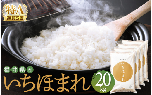 特A通算5回！お米 いちほまれ 20kg 令和5年 福井県産【米 20キロ 精米