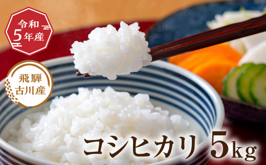 令和5年産 飛騨古川産コシヒカリ 5kg 5キロ お米 精白米