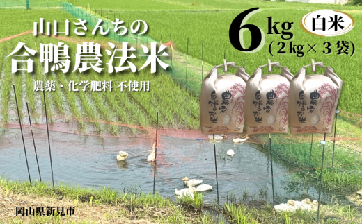 【令和5年度産】山口さんちの合鴨農法米 白米6kg (2kg×3袋)