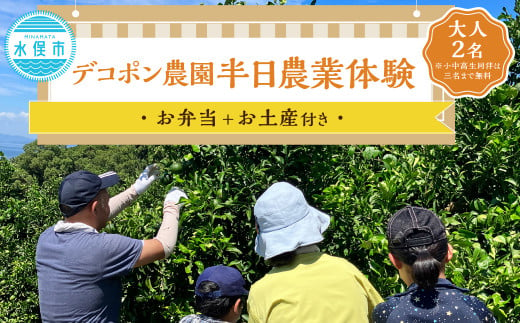 デコポン農園農業体験 1166512 - 熊本県水俣市