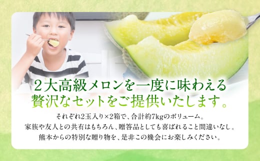 【先行予約】メロン食べ比べ（肥後グリーン・アールスメロン）【熊本県八代市産】 2玉入×2箱 合計約7kg