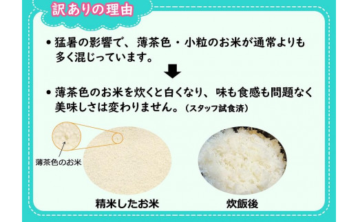 数量限定】【訳あり】従来品種 魚沼産コシヒカリ 精米 5kg×3袋 令和5