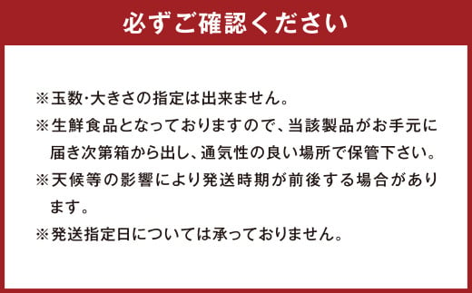 【訳アリ】熊本県産不知火(デコポン同一品種)約10kg(26玉～40玉)