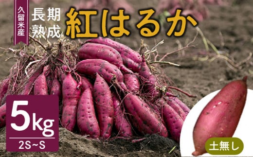 福岡県久留米市産　長期熟成紅はるか 5kg　2S～S　土なし 1192005 - 福岡県久留米市