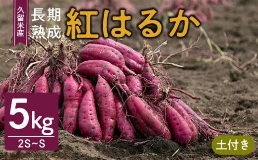 福岡県久留米市産　長期熟成紅はるか 5kg　2S～S　土付き 1192004 - 福岡県久留米市