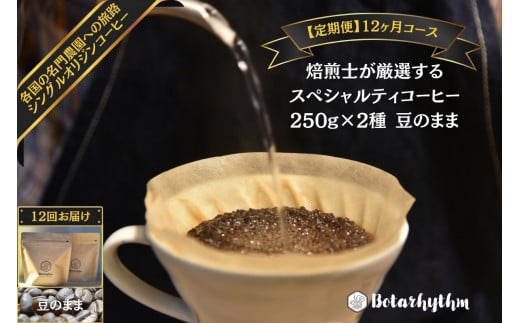 【定期便】スペシャルティコーヒー【豆】定期便 250g×2種 12ヶ月 mi0043-0007 206272 - 千葉県南房総市