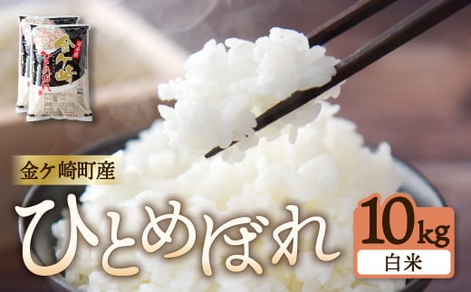 ひとめぼれ 10kg 精米 米 こめ ふるさと米 金ケ崎町産 自宅 炊飯 お弁当 袋 岩手県 687689 - 岩手県金ケ崎町