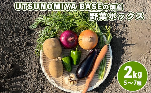 UTSUNOMIYA BASEの畑産野菜ボックス 2kg 1280893 - 栃木県宇都宮市