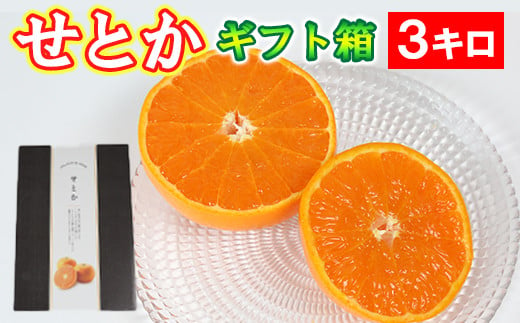 せとか 約3kg（化粧箱入） みかん 柑橘類 せとか 先行予約 フルーツ