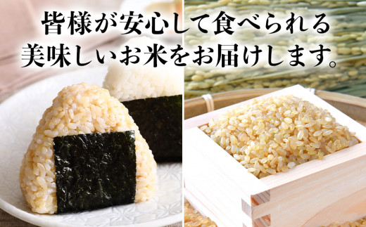 令和6年産】ひのひかり(玄米) 10kg 大分県中津市耶馬溪産 栽培期間中 農薬不使用 ヒノヒカリ 国産 お米 米 ご飯 白米 農家直送 大分県産 九州 産 中津市 - 大分県中津市｜ふるさとチョイス - ふるさと納税サイト