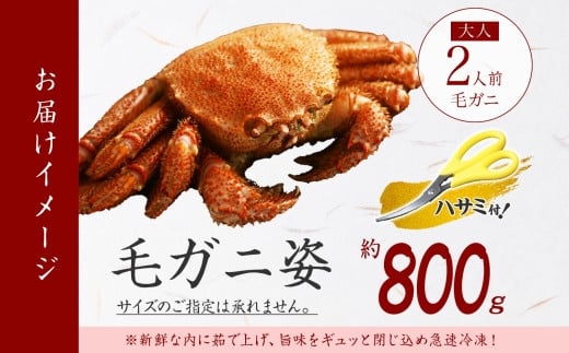 2986. ボイル毛蟹姿 800g 食べ方ガイド・専用ハサミ付 カニ かに 送料無料 北海道 弟子屈町 - 北海道弟子屈町｜ふるさとチョイス -  ふるさと納税サイト