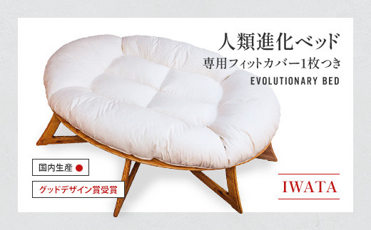 IWATA　人類進化ベッド　（専用フィットカバー１枚つき）　AA041 312525 - 滋賀県愛荘町