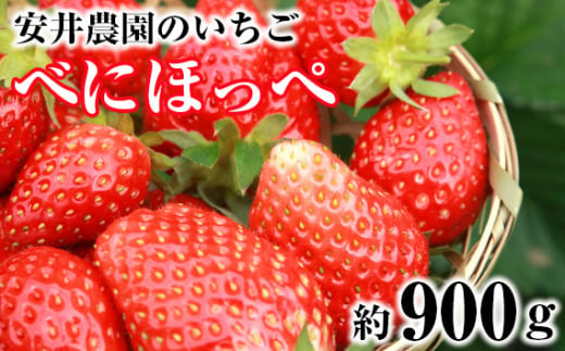 No.185 【安井農園のいちご】べにほっぺ　約900g ／ フルーツ 果物 イチゴ 苺 千葉県 特産品