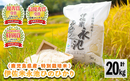 B8-05 令和5年産 特別栽培米 永池ひのひかり(計20kg・5kg×4袋)【エコファーム永池】