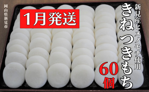 【2025年1月発送】きねつきもち 60個(6個入×10パック) 新見産ヒメノモチ使用 857087 - 岡山県新見市