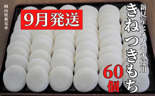 【2025年9月発送】きねつきもち 60個(6個入×10パック) 778476 - 岡山県新見市