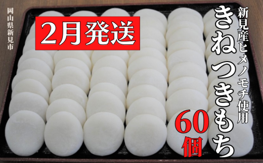 【2025年2月発送】きねつきもち 60個(6個入×10パック) 新見産ヒメノモチ使用 857086 - 岡山県新見市