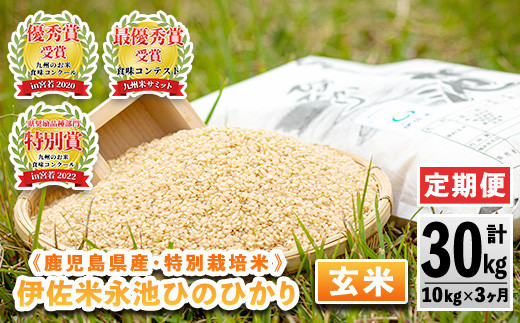 isa538 【定期便】令和5年産 特別栽培米 永池ひのひかり玄米(計30kg・10kg×3ヶ月) 鹿児島 永池 お米 米 玄米 伊佐米  九州米サミット 食味コンテスト 最優秀賞受賞 ヒノヒカリ【エコファーム永池】